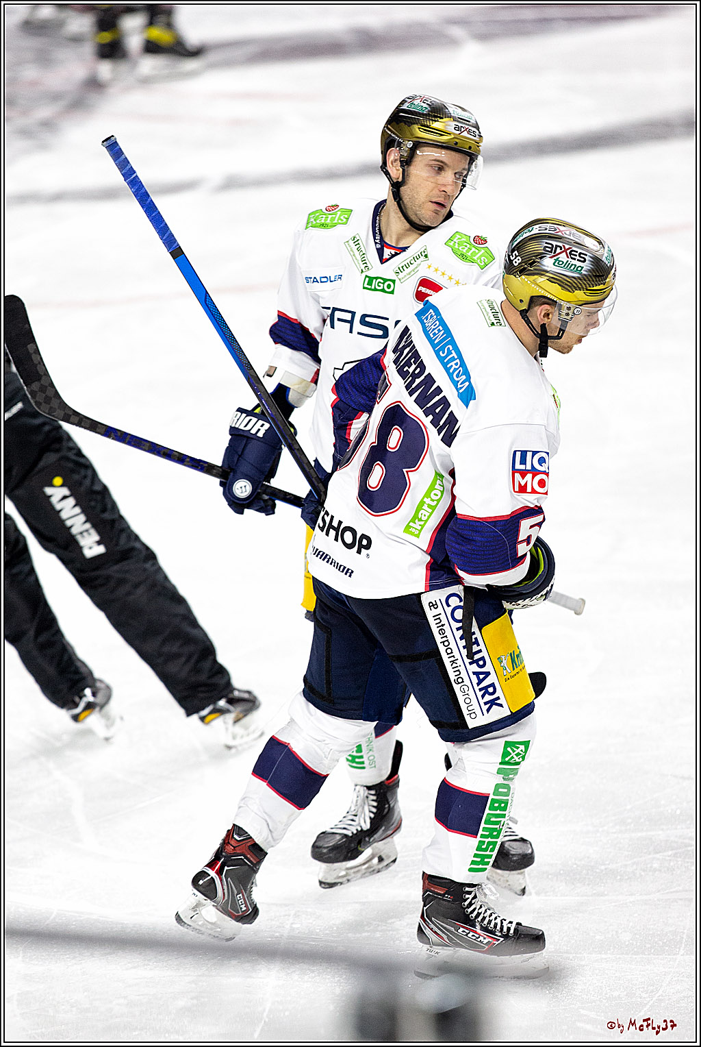 PENNY DEL;  Koelner Haie - Eisbaeren Berlin; Koeln, 19.02.2021